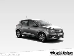 Andere farbe Gebraucht 2024 Dacia Sandero Expression Kleinwagen | 15.979 € (Guter Preis)