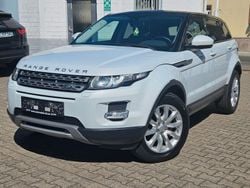 Weiß Gebraucht 2015 Land Rover Range Rover evoque Pure SUV | 17.999 € (Fairer Preis)