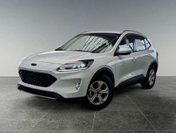 Frostweiß Neu 2024 Ford Kuga Cool & Connect SUV | 30.690 € (Guter Preis)