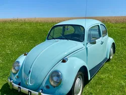 Blau Gebraucht 1969 VW Käfer Kleinwagen | 9.000 €
