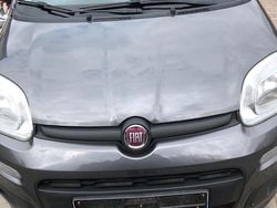 Grau Gebraucht 2016 Fiat Panda Kleinwagen | 6.500 € (Fairer Preis)