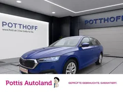 Blau Gebraucht 2022 Skoda Octavia Ambition Kombi | 20.977 € (Superpreis)