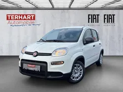 Weiss) (weiss Gebraucht 2024 Fiat Panda Star Kleinwagen | 14.987 € (Fairer Preis)