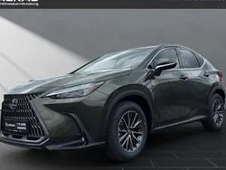 Grün Neu 2025 Lexus NX350h SUV | 55.990 € (Guter Preis)