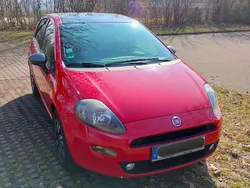 Rot Gebraucht 2014 Fiat Punto Young Kleinwagen | 3.490 €