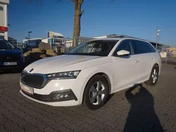 Weiß Gebraucht 2022 Skoda Octavia Style Limousine | 20.950 € (Guter Preis)