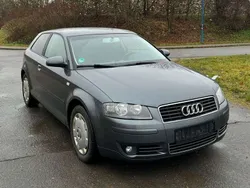 Delfingrau metallic Gebraucht 2005 Audi A3 Ambition Kleinwagen | 4.490 € (Teuer)