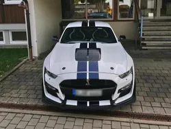 Ford Shelby