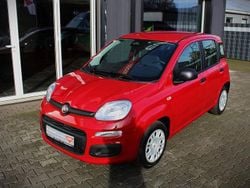 Rot Neu 2025 Fiat Panda Limousine | 14.990 € (Fairer Preis)