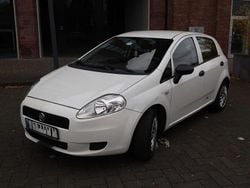Weiß Gebraucht 2012 Fiat Punto Kleinwagen | 2.170 € (Fairer Preis)