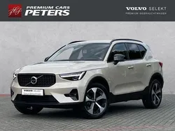 Sand dune / metallic Gebraucht 2024 Volvo XC40 Plus SUV | 36.799 € (Fairer Preis)