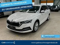 Candyweiss Gebraucht 2021 Skoda Octavia First Edition Kombi | 17.977 € (Superpreis)