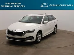Candyweiß Gebraucht 2023 Skoda Octavia Style Kombi | 24.190 € (Guter Preis)