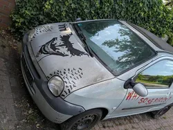 Grau Gebraucht 2007 Renault Twingo Kleinwagen | 500 €