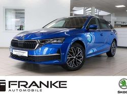 Blau Gebraucht 2024 Skoda Octavia Exclusive Kombi | 34.000 € (Teuer)