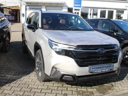 Grau Neu 2025 Subaru Forester Platinum SUV | 46.990 € (Etwas zu teuer)