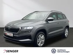 Grau Gebraucht 2024 Skoda Karoq Selection SUV | 28.880 € (Guter Preis)
