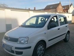 Weiß Gebraucht 2012 Fiat Panda Kleinwagen | 3.500 € (Fairer Preis)