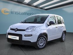 Weiß Gebraucht 2024 Fiat Panda Classica Kleinwagen | 13.949 € (Fairer Preis)
