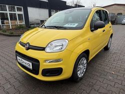Gelb Neu 2025 Fiat Panda Kleinwagen | 16.789 € (Etwas zu teuer)