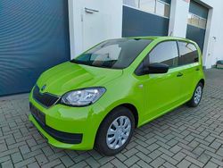 Grün Gebraucht 2019 Skoda Citigo Kleinwagen | 11.000 € (Teuer)