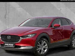 Rot Gebraucht 2022 Mazda CX-30 Selection SUV | 23.200 € (Fairer Preis)
