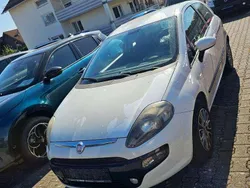 Weiß Gebraucht 2011 Fiat Punto Kleinwagen | 6.990 €