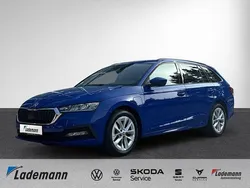 Energyblau Gebraucht 2023 Skoda Octavia Ambition Kombi | 23.974 € (Superpreis)