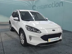 Weiß Gebraucht 2021 Ford Kuga Trend SUV | 19.480 € (Guter Preis)