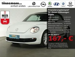 VW Beetle