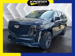 Black raven Neu 2025 Cadillac Escalade SUV | 199.900 € (Teuer)