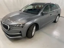 Grau Gebraucht 2024 Skoda Octavia Selection Kombi | 28.536 € (Guter Preis)
