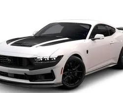 Schwarz Neu 2024 Ford Mustang Dark Horse Coupé | 72.500 € (Etwas zu teuer)