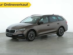 Braun Gebraucht 2021 Skoda Octavia Ambition Kombi | 19.460 € (Superpreis)