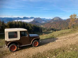 Braun Gebraucht 1981 Suzuki LJ SUV | 17.500 €