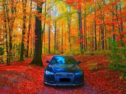 Blau Gebraucht 2014 Audi A6 Allroad Kombi | 24.500 €