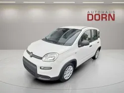 Rot Neu 2024 Fiat Panda Kleinwagen | 15.690 €