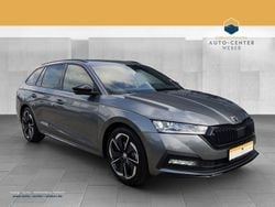 Grau Gebraucht 2024 Skoda Octavia SportLine Kombi | 33.280 € (Superpreis)