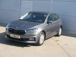 Grau Neu 2025 Skoda Fabia Limousine | 19.300 € (Fairer Preis)