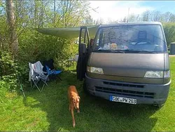 Grün Gebraucht 1999 Fiat Ducato Van | 5.500 €