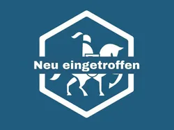 Schwarz Gebraucht 2020 Volvo XC40 Momentum SUV | 25.890 € (Guter Preis)
