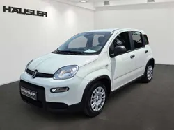 Gelato weiß Gebraucht 2024 Fiat Panda Kleinwagen | 17.330 € (Teuer)