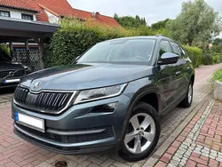 Grau Gebraucht 2019 Skoda Kodiaq Ambition SUV | 19.800 € (Guter Preis)