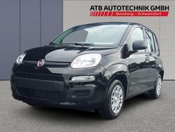 Schwarz Neu 2025 Fiat Panda Kleinwagen | 15.590 € (Fairer Preis)