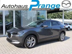 Machine gray Neu 2025 Mazda CX-30 Exclusive-Line SUV | 32.485 €