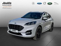 Grey matter Gebraucht 2024 Ford Kuga SUV | 41.950 € (Teuer)