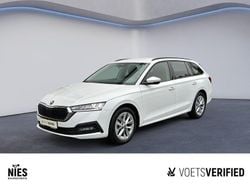 Candyweiss Gebraucht 2022 Skoda Octavia Ambition Kombi | 20.680 € (Superpreis)