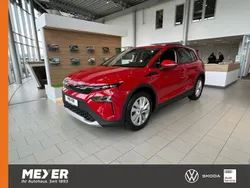 Grau Neu 2025 Skoda Elroq Tour SUV | 35.790 € (Fairer Preis)