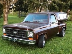 Braun Gebraucht 1978 Chevrolet Silverado Abholung | 16.999 €