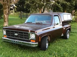 Braun Gebraucht 1978 Chevrolet Silverado Abholung | 17.999 €